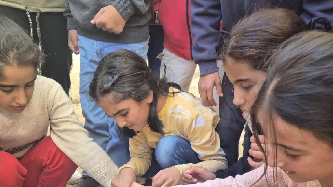 4 Ekim Hayvanları Koruma Günü 